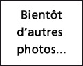 Bientôt d'autres photos